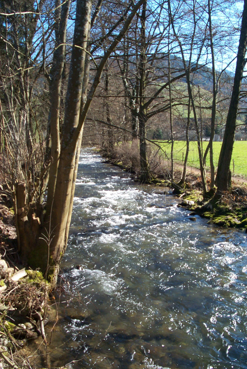der Bach Neumagen südlich am Wohnhaus und der Werkstatt