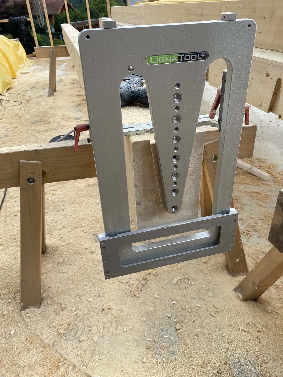 und der letzte Schwalbenschwanz-Zapfen