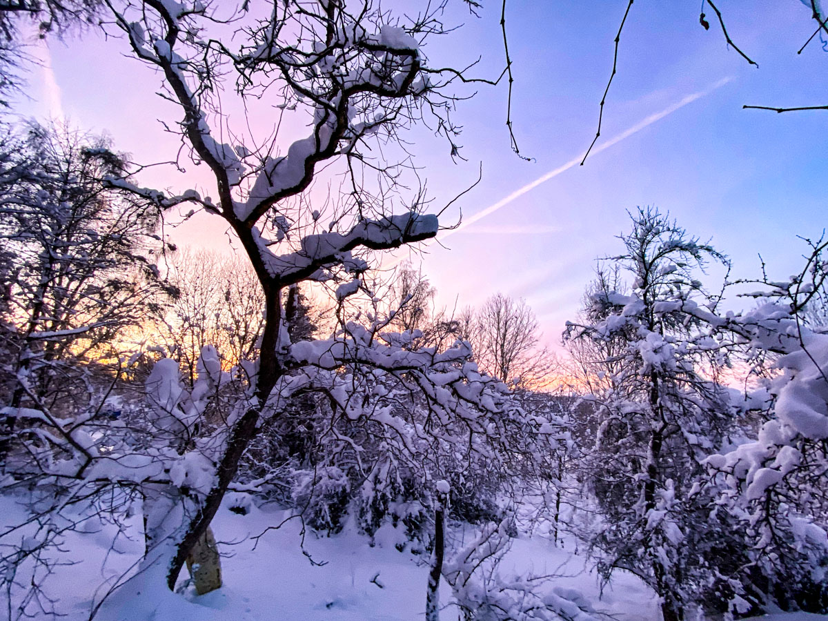 Anfang Dezember - 1 m Schnee Anfang Dezember - 1 m Schnee