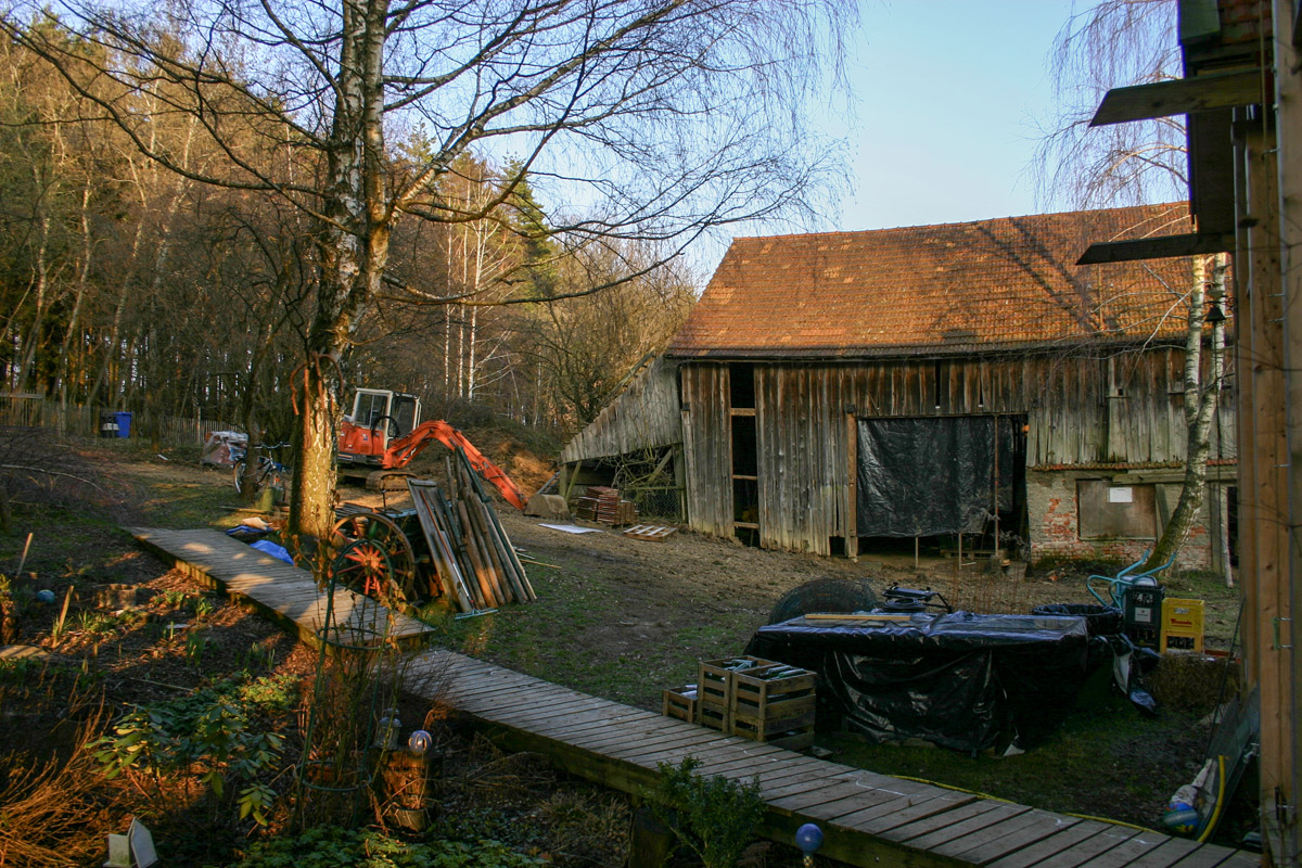 die Abensonne mit dem weichen Licht