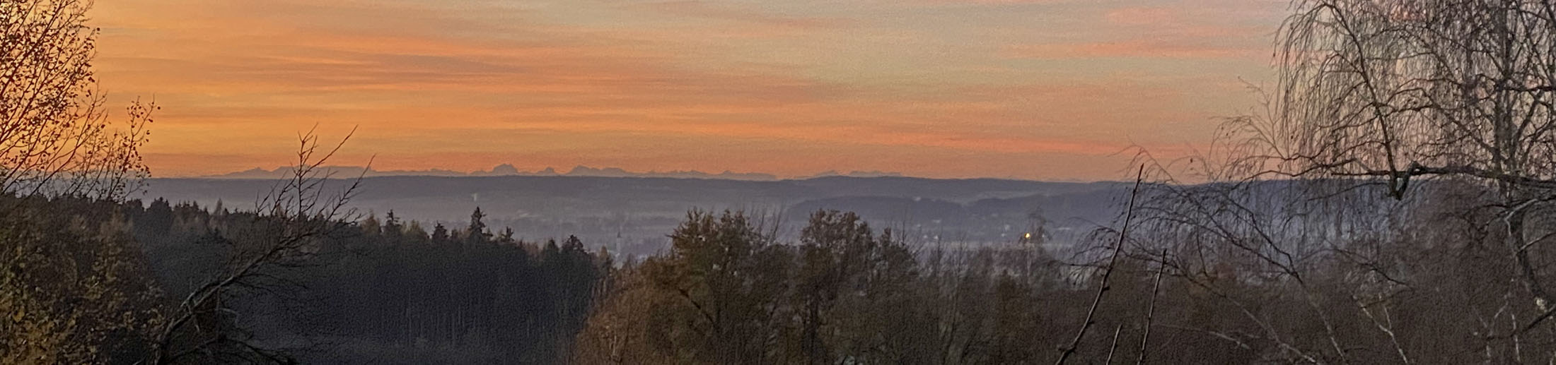 25.11.2024 - Morgenstimmung 25.11.2024 - Morgenstimmung