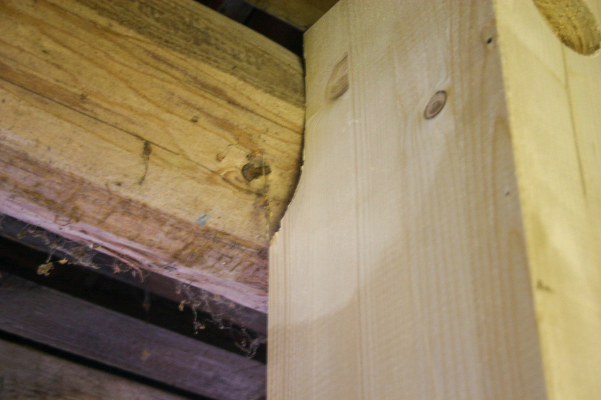 Pfette wird auch erfasst