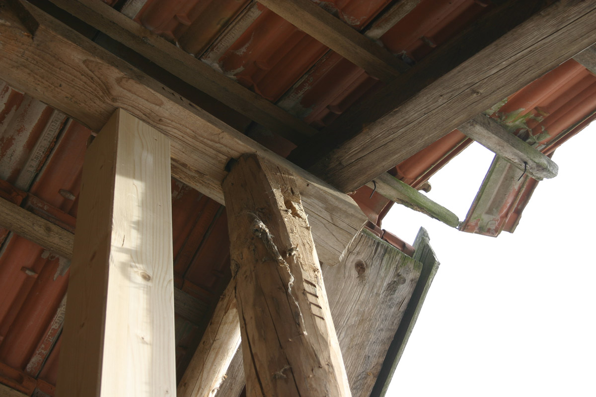 First - neu - alt noch am Platz